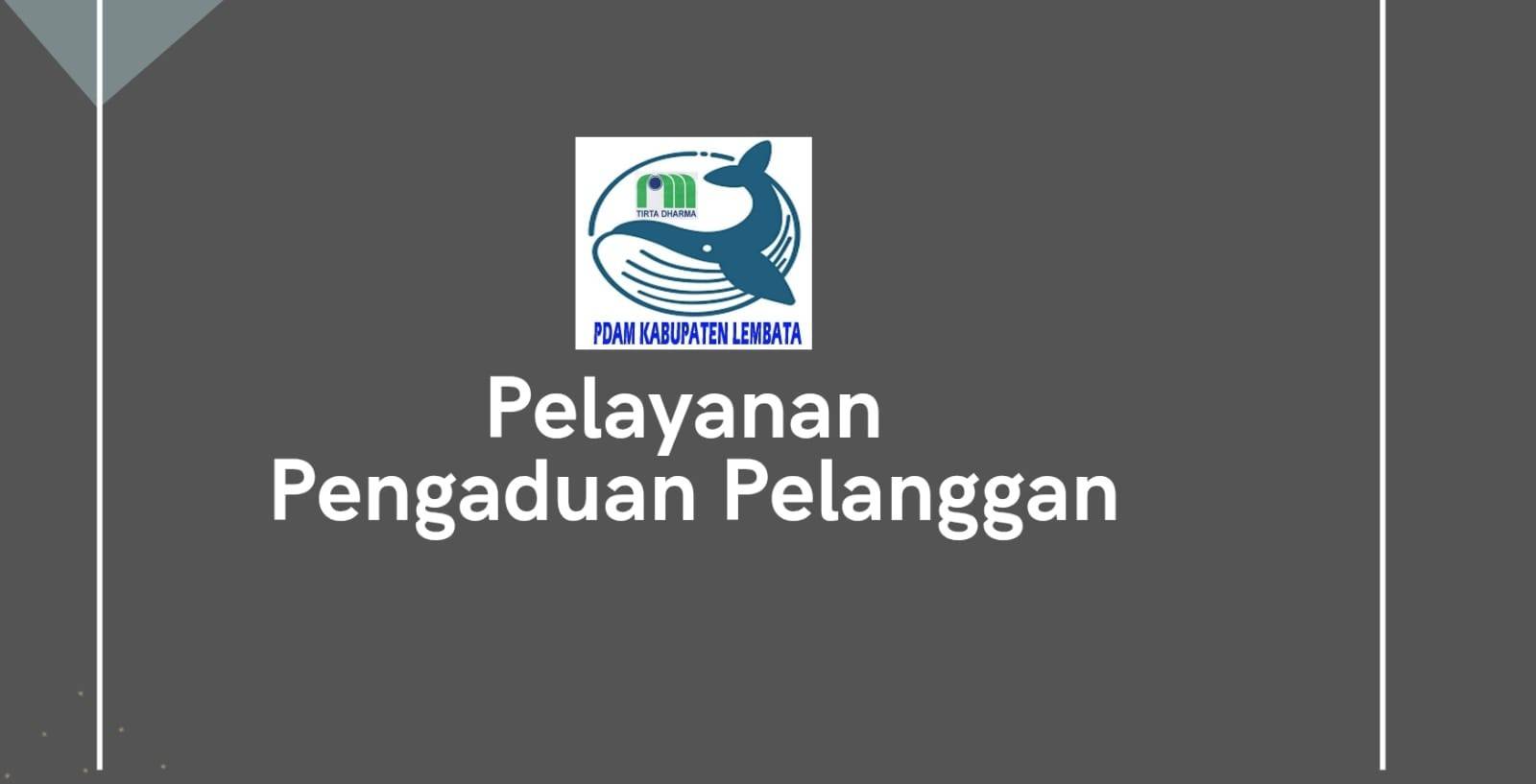 Pelayanan Pengaduan Pelanggan